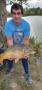 Common Carp