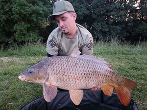 Common Carp