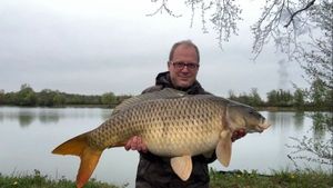 Common Carp