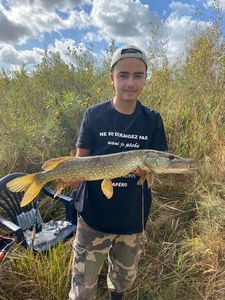 Northern Pike