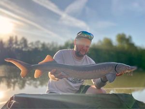 Sturgeon