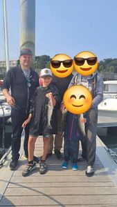 European Bass (Seabass)
