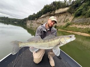 Zander