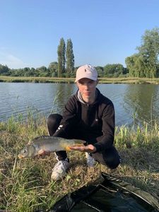 Mirror Carp