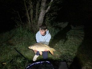 Mirror Carp