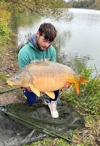 Mirror Carp