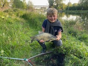 Common Bream