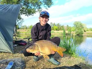 Mirror Carp