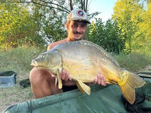 Mirror Carp