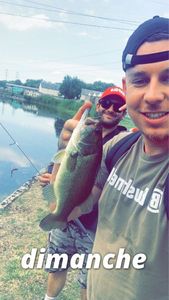 Largemouth Bass