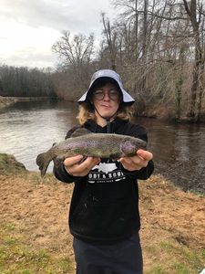 Rainbow Trout