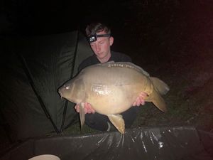 Mirror Carp