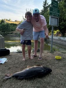 Common Carp
