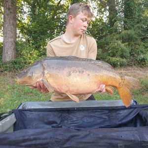 Mirror Carp