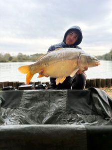 Mirror Carp