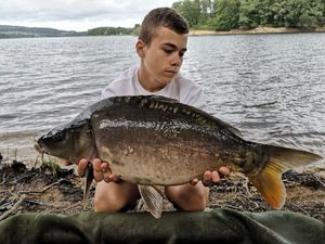 Mirror Carp