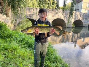 Northern Pike