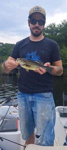 Largemouth Bass