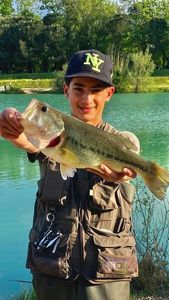 Smallmouth Bass