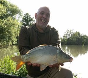 Mirror Carp