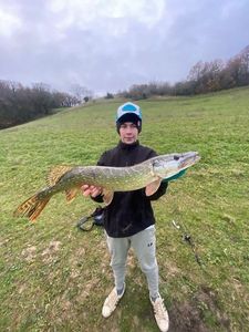 Northern Pike