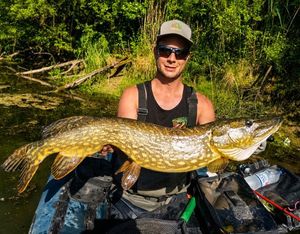Northern Pike