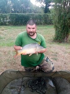 Common Carp