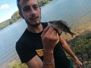 European Perch