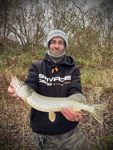 Northern Pike