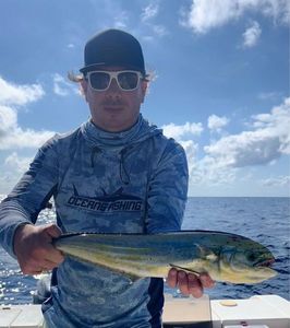 Dolphinfish