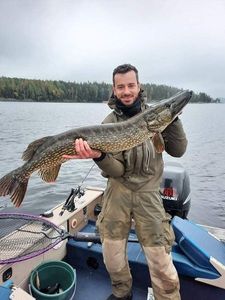 Northern Pike
