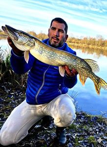Northern Pike