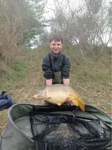 Mirror Carp