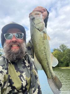 Largemouth Bass