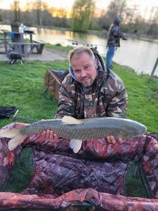 Grass Carp