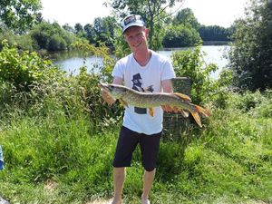 Northern Pike