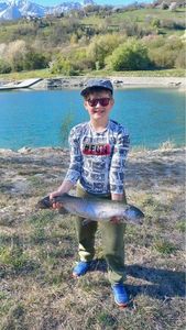 Rainbow Trout