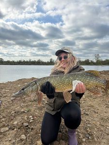 Northern Pike
