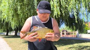 Crucian Carp