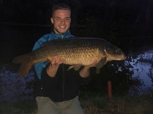Common Carp