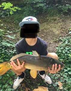 Leather Carp