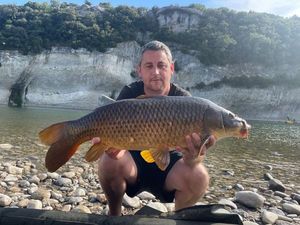 Common Carp