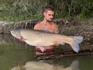 Grass Carp