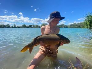 Common Carp