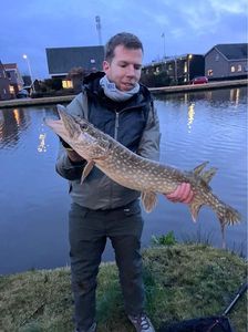 Northern Pike