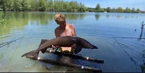 Sturgeon