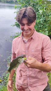 Largemouth Bass