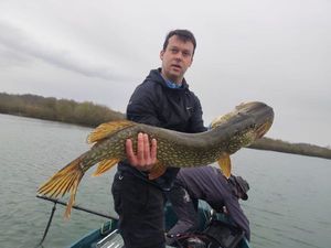 Northern Pike