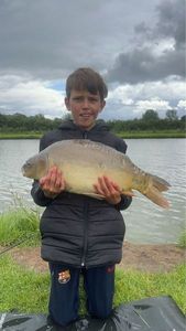 Mirror Carp