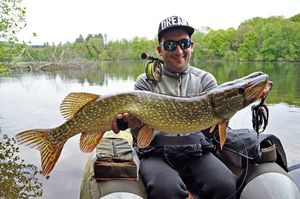 Northern Pike